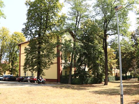 Foto 11